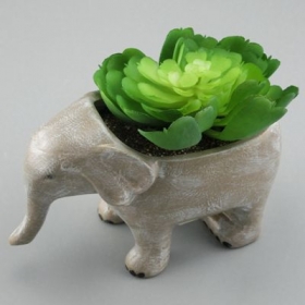elefante suculento plantador de cerâmica
