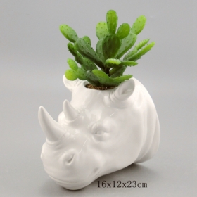 Planta de suspensão de parede de rinoceronte cerâmica em branco