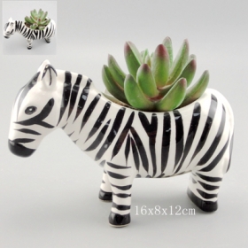 Pote de planta cerâmica de cerâmica suculenta de zebra