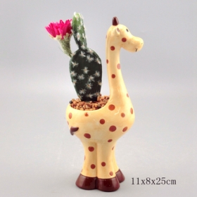 girafa, animal, mini, flor, caixa, suculento, plantador, pote