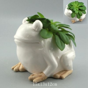 Cute Planter Pot