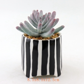 pontos pretos mini vasos de plantas suculentas de cerâmica listra preta terracota mini pote