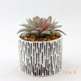 branco e preto pintado de mesa de cerâmica mini-vasos de plantas suculentas