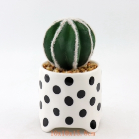 pontos pretos mini vasos de plantas suculentas de cerâmica listra preta terracota mini pote